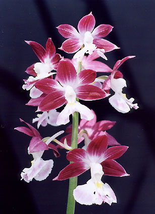 �t�W�@���@�`�o