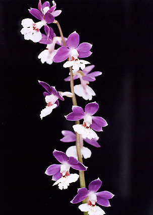 ���}�g�@���@�g�~�X