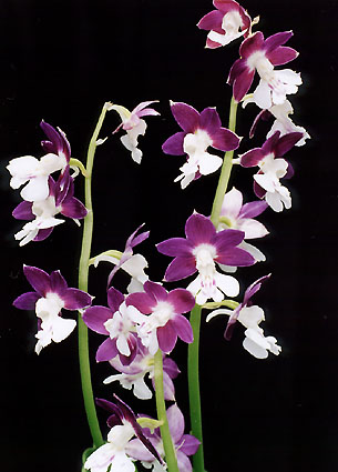 ���}�g�@���@�g�~�X