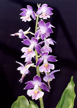 �V�R�N�@���@�g�~�X