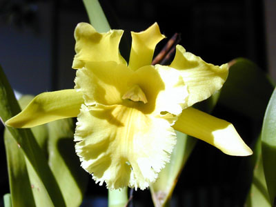 Blc. Ports of Paradise