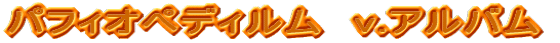 �p�t�B�I�y�f�B�����@v.�A���o��