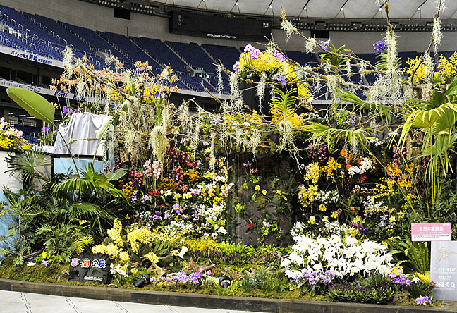 世界らん展日本大賞2014