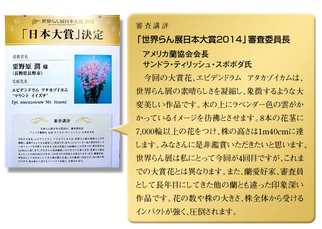 世界らん展日本大賞2014