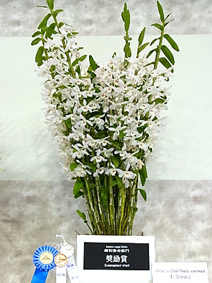 世界らん展日本大賞2014