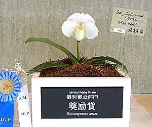 世界らん展日本大賞2014