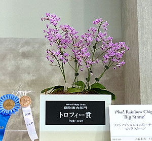 世界らん展日本大賞2014