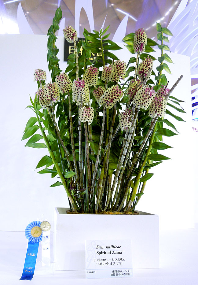 世界らん展日本大賞2015