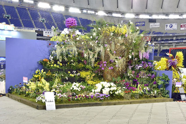 世界らん展日本大賞２０１６年・開会式ペア招待状・送料無料