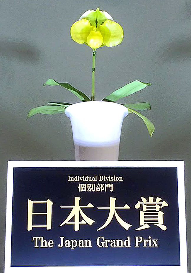 世界らん展日本大賞2016