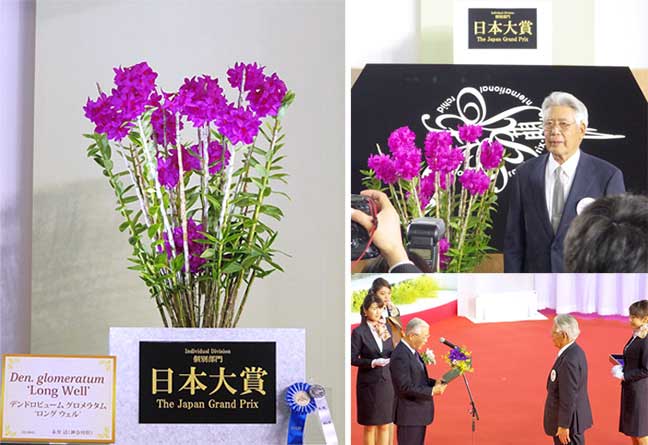 寺田正作 伽羅須装飾画 澂 ガラス トルコキキョウ 在銘 共箱　V517　DC1 世界らん展日本大賞2017
