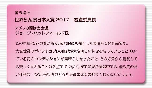 寺田正作 伽羅須装飾画 澂 ガラス トルコキキョウ 在銘 共箱　V517　DC1 世界らん展日本大賞2017
