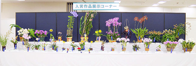 サンシャイン世界のらん展2023
