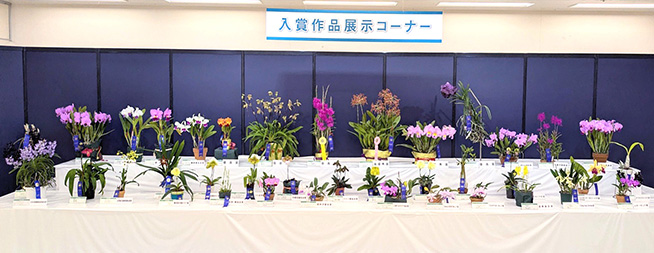 サンシャイン世界のらん展2026