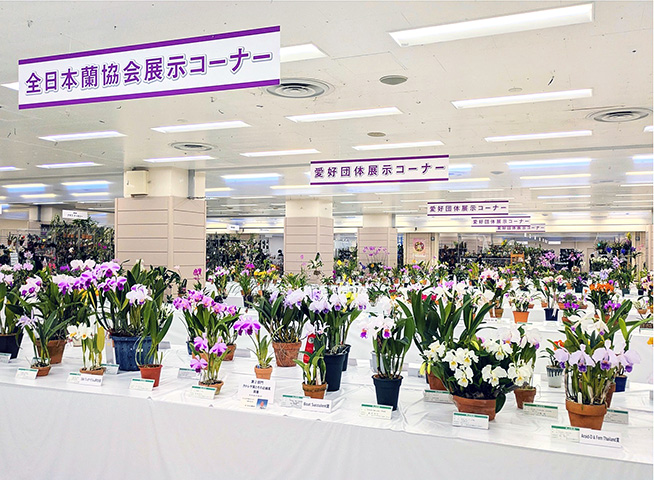 サンシャイン世界のらん展2026