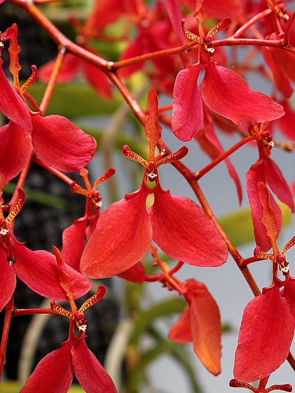 Apr.2022～Mar.2023 年度賞入賞記録